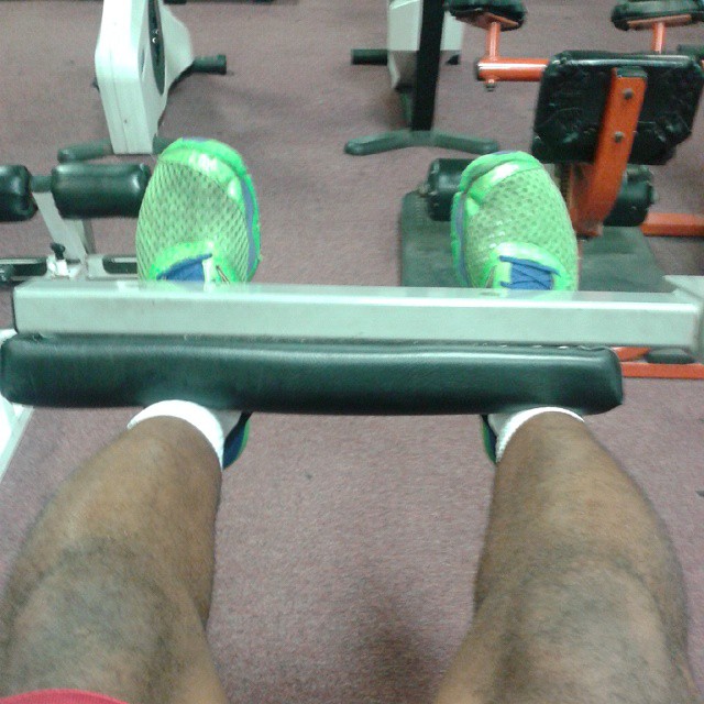 11218462_10206213953579515_3081320350811660750_n