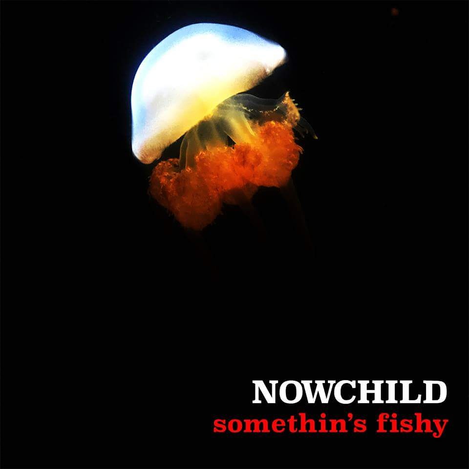 IMG_20151010_044430.jpg image